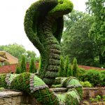 16 Marvellous Topiary Ideas
