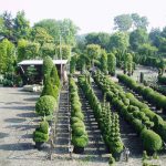 16 Marvellous Topiary Ideas